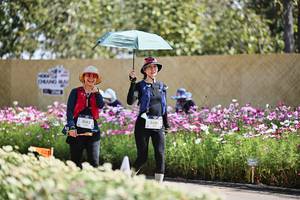 BIB: 
                            <button type="button" onclick="openModal(27799262)" class="btn btn-primary btn-sm float-right btn-popup" data-toggle="modal" data-target=".modal-high-quality">
                        <i class="fas fa-shopping-cart"></i> Add to Cart
                    </button>
                                            <button type="button" onclick="isThisMe(27799262, true)" class="btn btn-success btn-sm float-right btn-popup btn-isme hidden" data-toggle="tooltip" data-placement="bottom" title="นี่คือรูปของคุณใช่ไหม คลิกที่นี่เพื่อเอาเข้าอัลบั้ม">
                        <i class="fas fa-plus"></i> Add to album
                    </button>
                    <button type="button" onclick="isThisMe(27799262, false)" class="btn btn-warning btn-sm float-right btn-popup btn-isnotme hidden">
                        <i class="fas fa-ban"></i> Remove from album
                    </button>